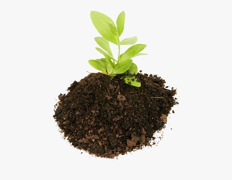 Quimico Fertilizantes, Transparent Clipart