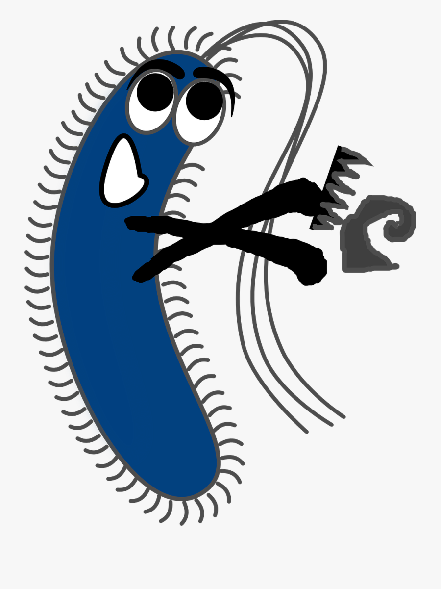 Germ Virus Bacteria Free Photo - Gram Negative Bacteria Cartoon, Transparent Clipart