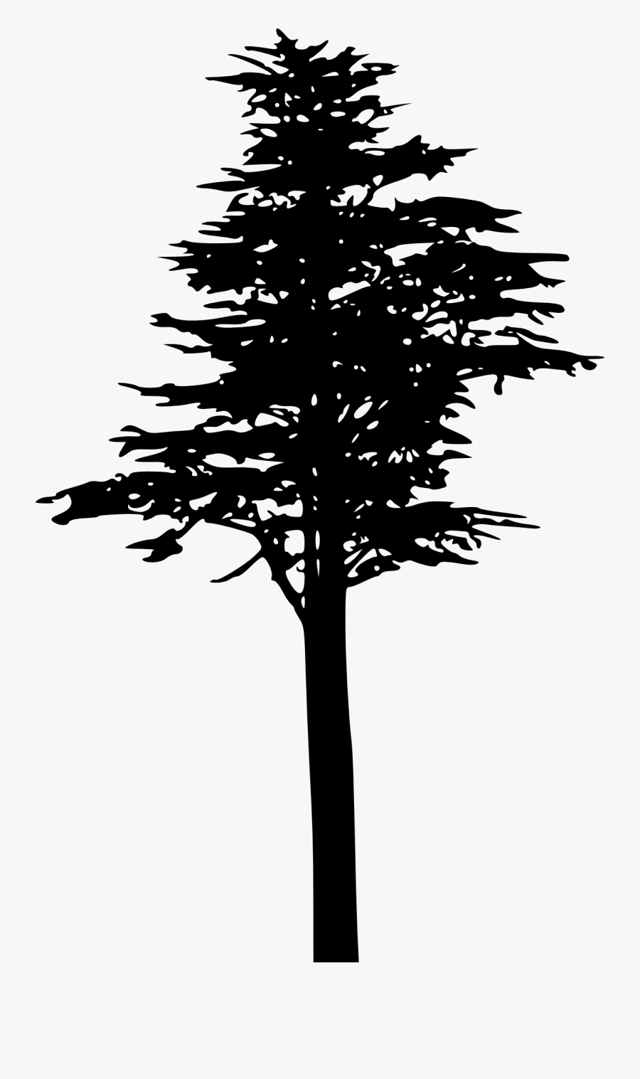 Pohon Pinus Vektor Siluet, Transparent Clipart