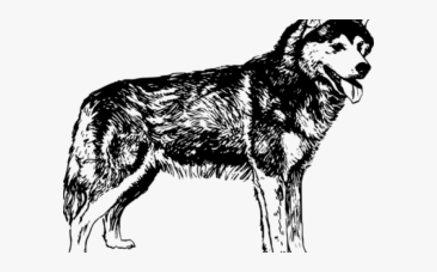 Siberian Husky Clipart Png - Husky Images Black And White, Transparent Clipart