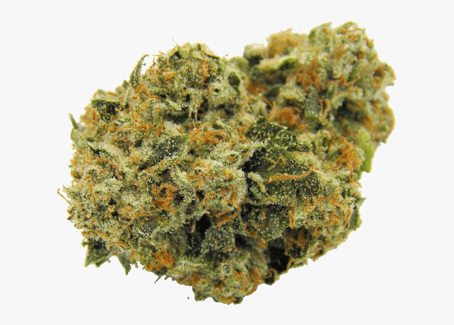 Images In Collection Page - Kosher Weed, Transparent Clipart