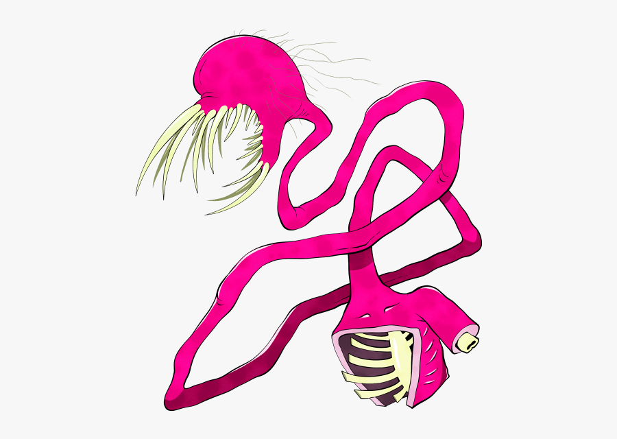 Noisy Tenant Wiki - Illustration, Transparent Clipart