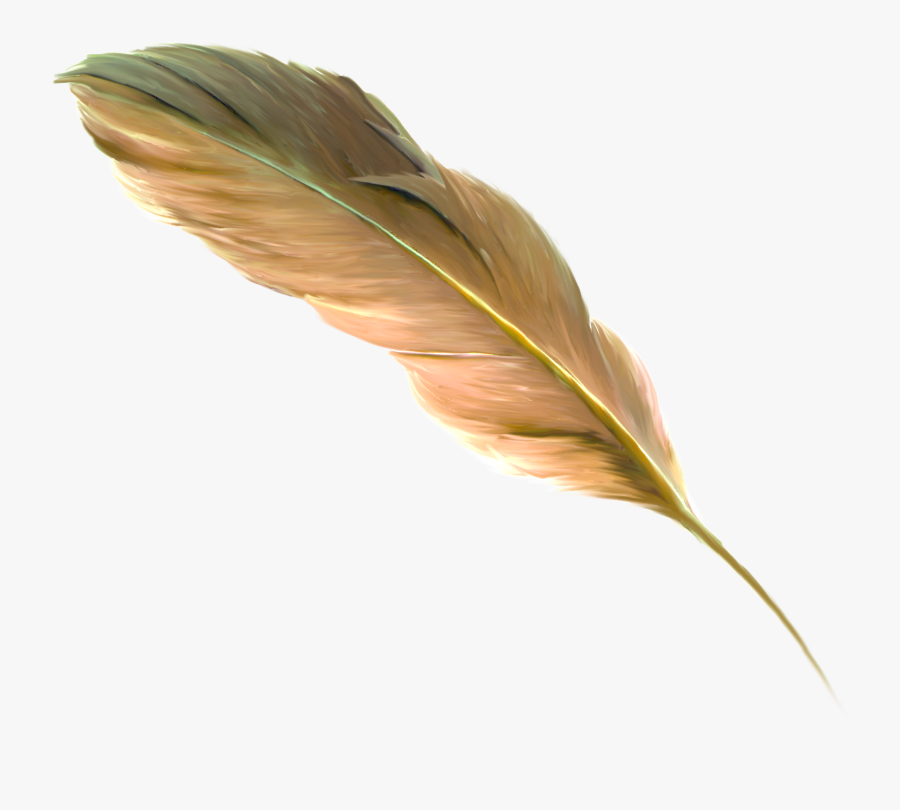The Floating Feather Brown - Transparent Feather Drawing Golden, Transparent Clipart