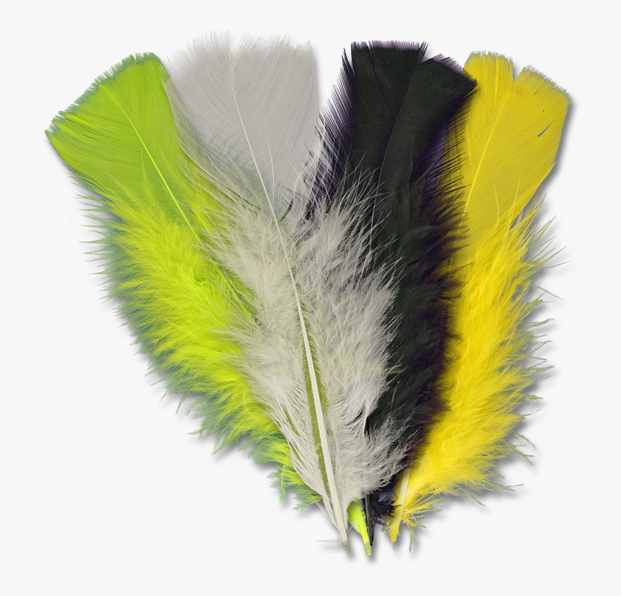 Transparent Turkey Feathers Png - Feather, Transparent Clipart
