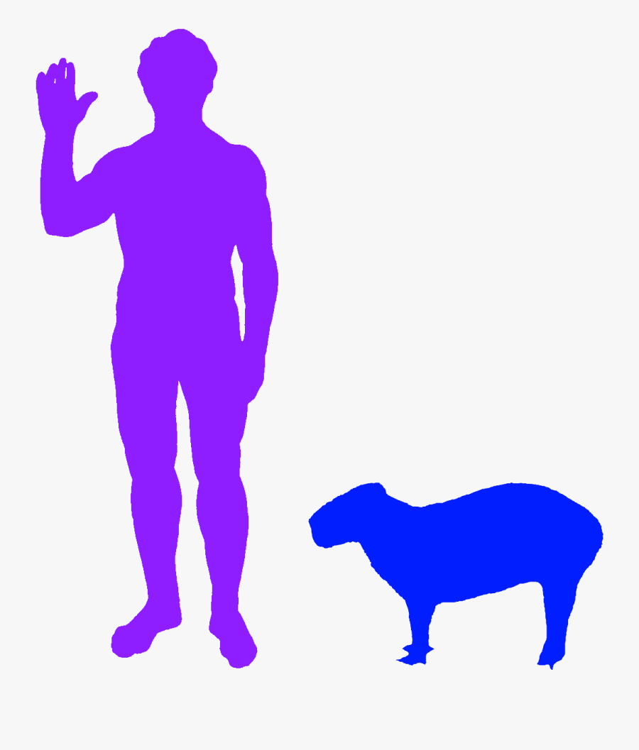 Biggest Owl Compared To Human, Transparent Clipart