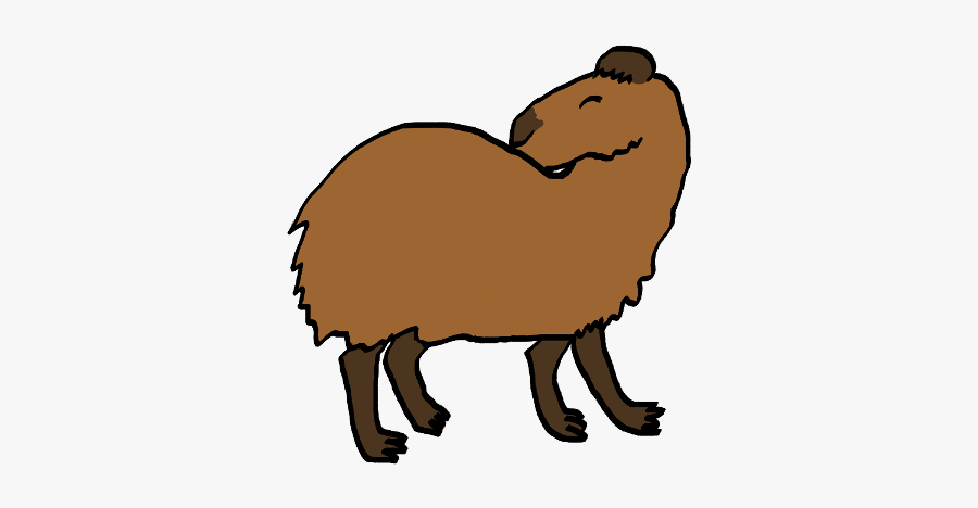 Insect, Transparent Clipart