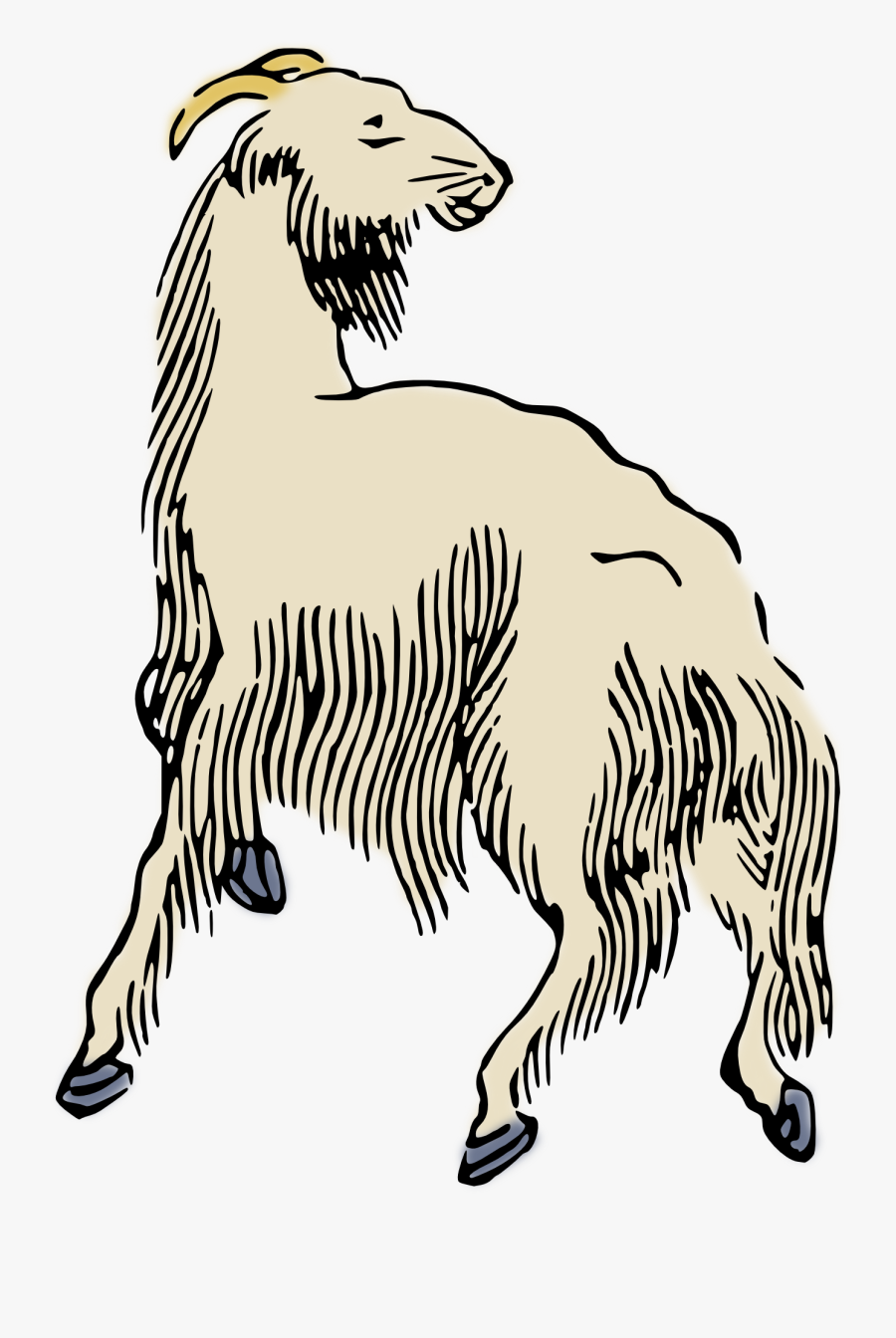 Portable Network Graphics, Transparent Clipart