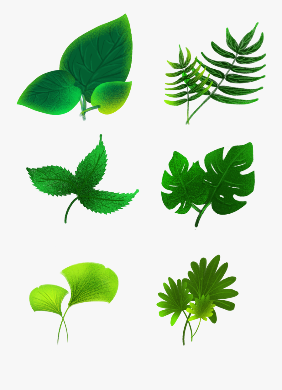 Transparent Green Plants Png, Transparent Clipart