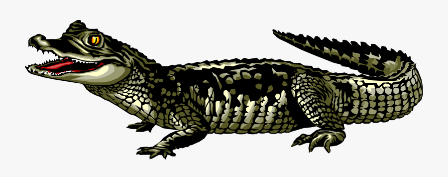 Animals Whose Ears We Cannot See, Transparent Clipart