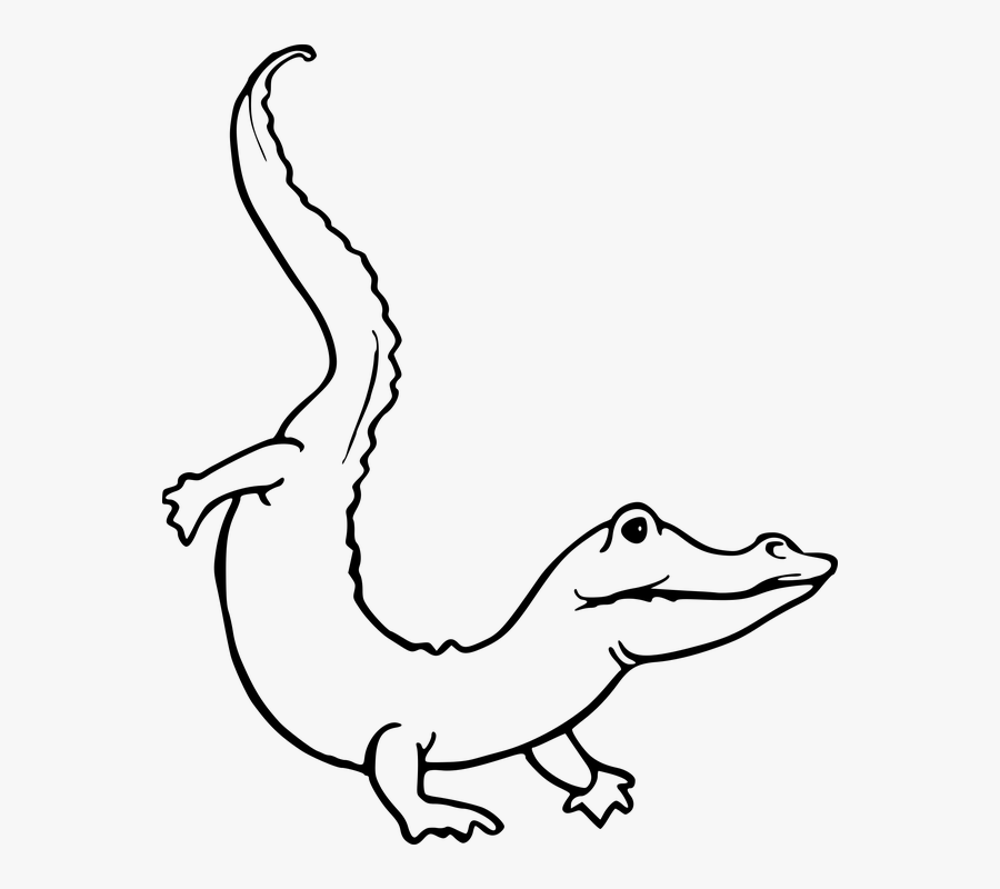 Alligator, Animal, Crocodile, Reptile - Outline Alligator Clipart, Transparent Clipart