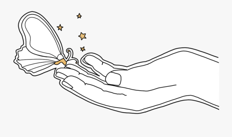 Butterflyhand - Illustration, Transparent Clipart