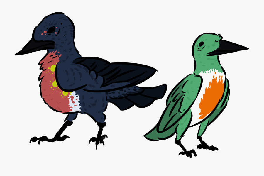 Duck, Transparent Clipart