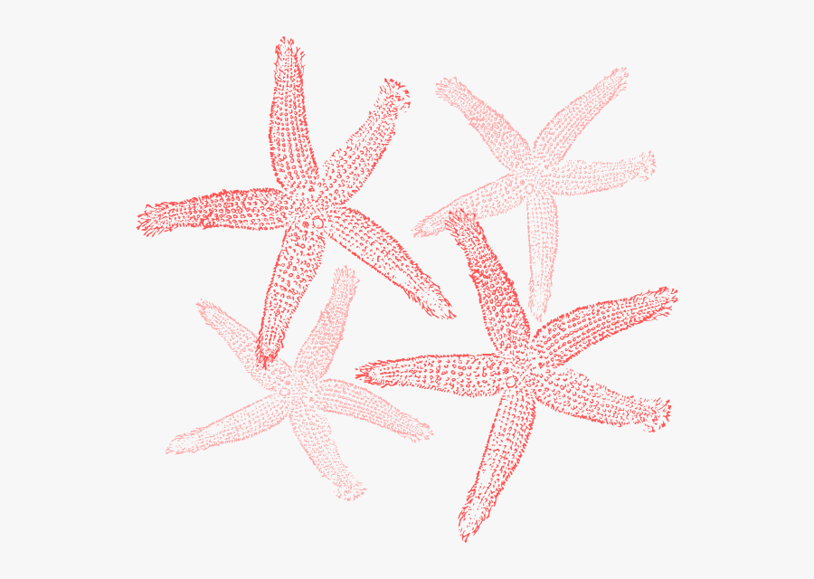 Fish Clip Art, Transparent Clipart