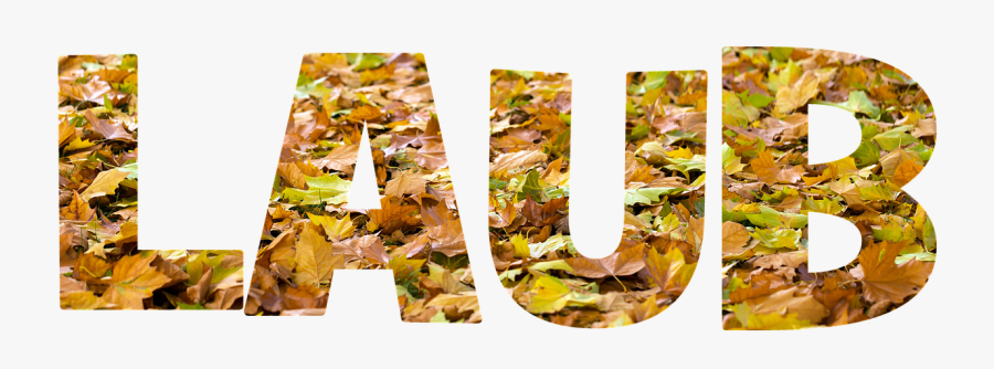 Leaves Lettering Scripture Texture Colorful Free Photo - Graphic Design, Transparent Clipart