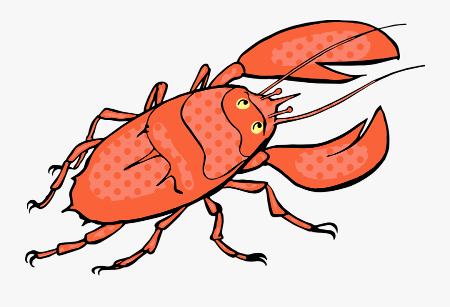 Picture Freeuse Library Crawfish Clipart Lobster Dinner - Drawing, Transparent Clipart