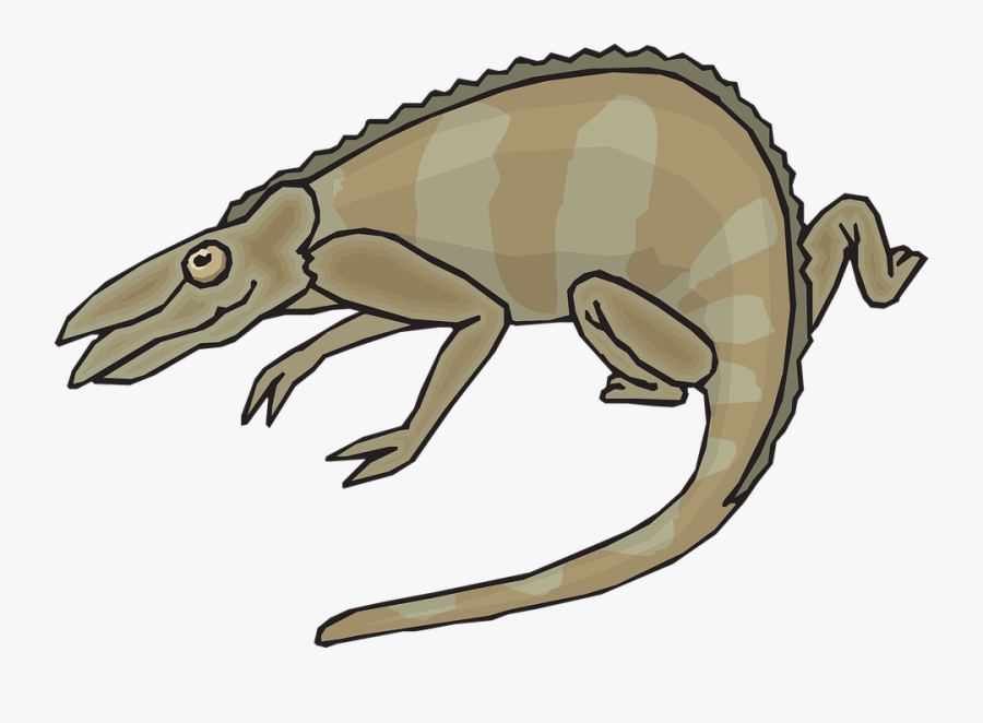 Gray, Brown, Colors, Chameleon, Walking, Reptile - Brown Chameleon Transparent, Transparent Clipart