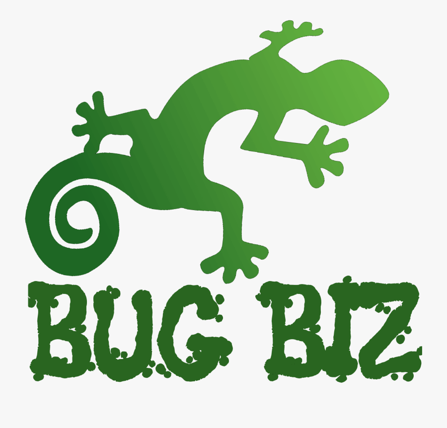 Bug Biz Reptile And Creepy Crawly Parties - Chameleon, Transparent Clipart