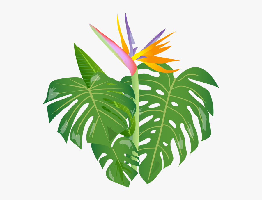 Shrub Clipart Jungle - Cartoon Jungle Leaves Background, Transparent Clipart