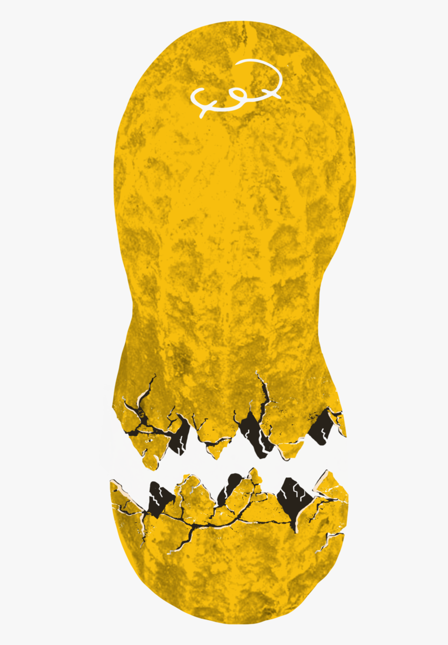 Single Peanut, Transparent Clipart