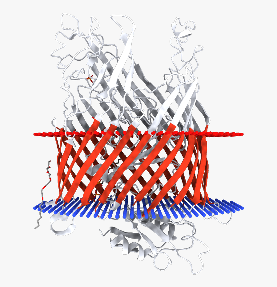 Graphic Design, Transparent Clipart