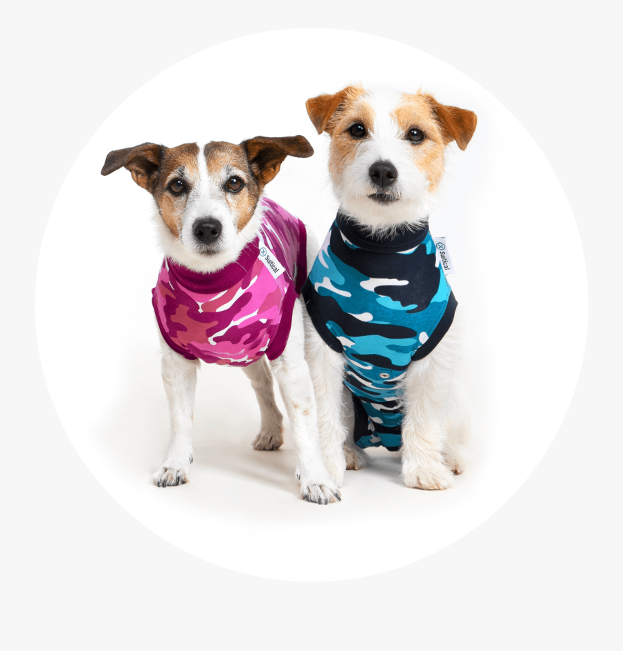 Eating, Transparent Clipart