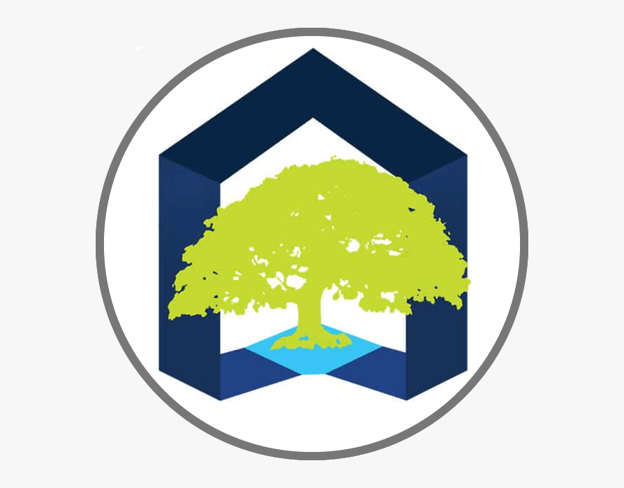 Margarita Glasses Clip Art - Cypress Family, Transparent Clipart