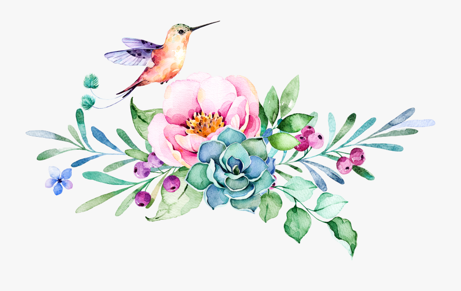#flowers #bird #freetoedit - Flowers And Hummingbirds Clipart, Transparent Clipart