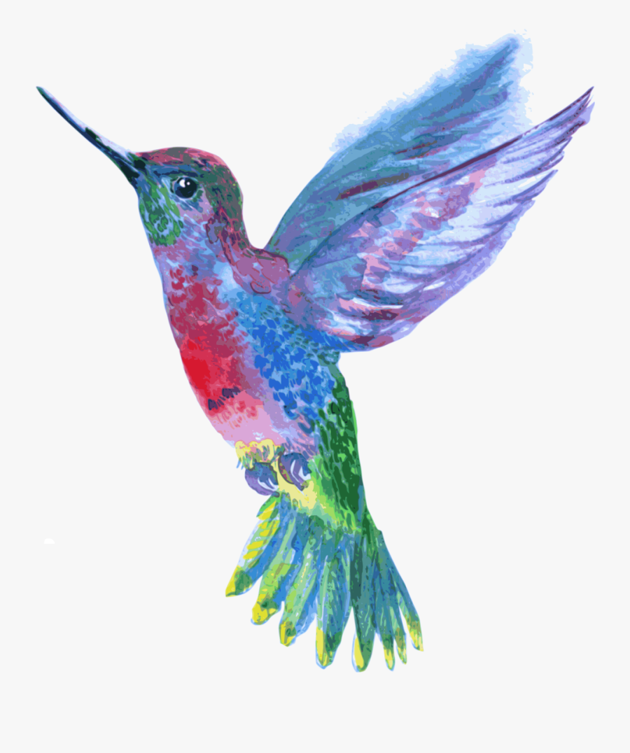 Hummingbird Png - Hummingbird Pink And Blue, Transparent Clipart