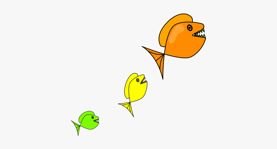 Colored Fish - Small Medium Large Fish, Transparent Clipart
