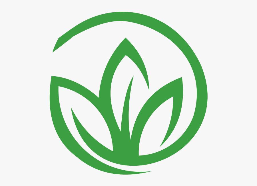 The History Of Medical Marijuana In Lauderhill - Highlife Marijuana, Transparent Clipart