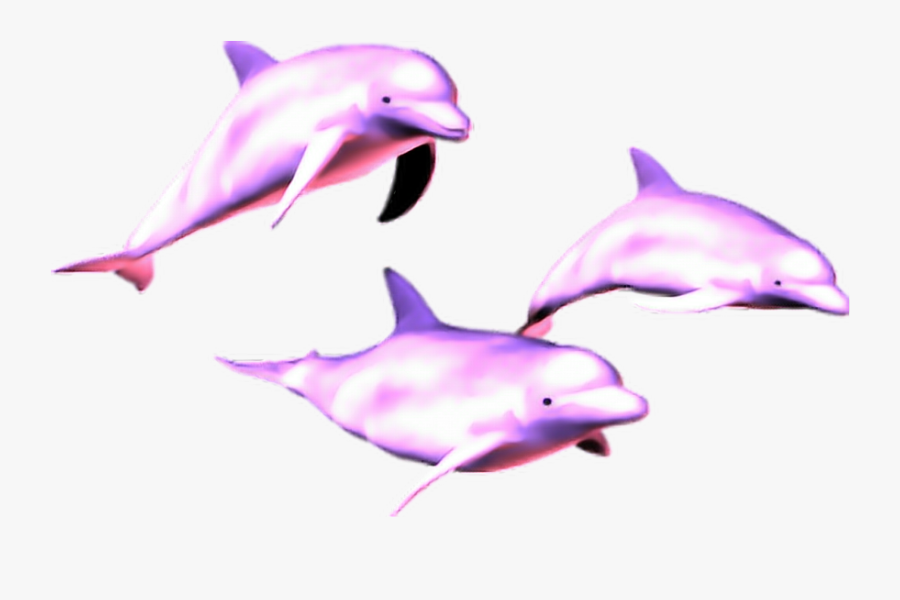 #mq #pink #dolphin #dolphins #animal - Aesthetic Dolphin Png, Transparent Clipart