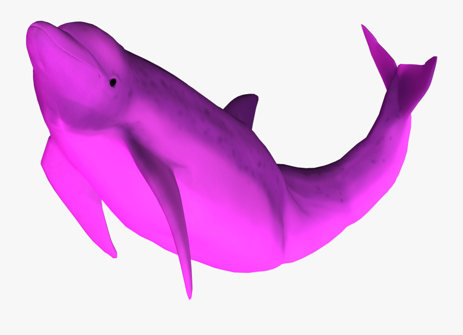 Amazon River Dolphin Pink Dolphin Clothing Desktop - Pink Dolphin No Background, Transparent Clipart