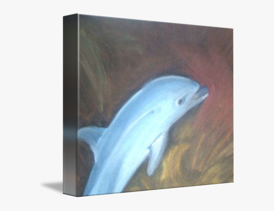 Porpoise Drawing Pink Dolphin - Common Bottlenose Dolphin, Transparent Clipart