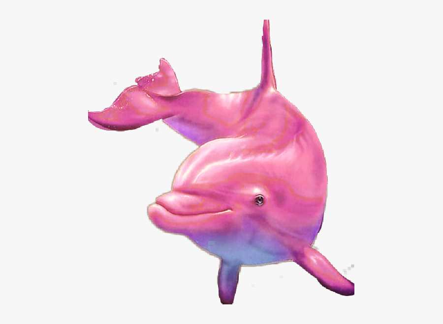 #pink #dolphin - Common Bottlenose Dolphin, Transparent Clipart