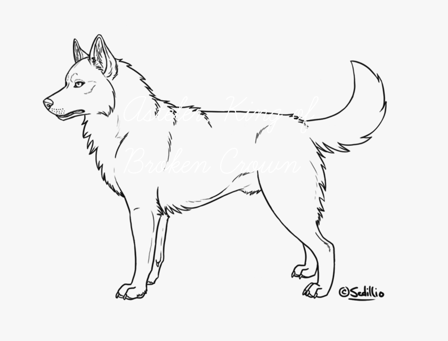 Collection Of Free Drawing - Husky Dog Coloring Page, Transparent Clipart