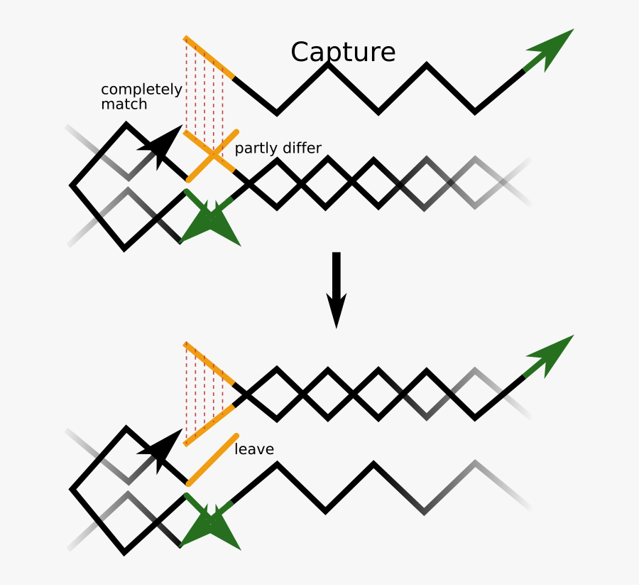 The Mechanism Of Making The Structure Flexible Clipart - Almofada Branca E Cinza, Transparent Clipart
