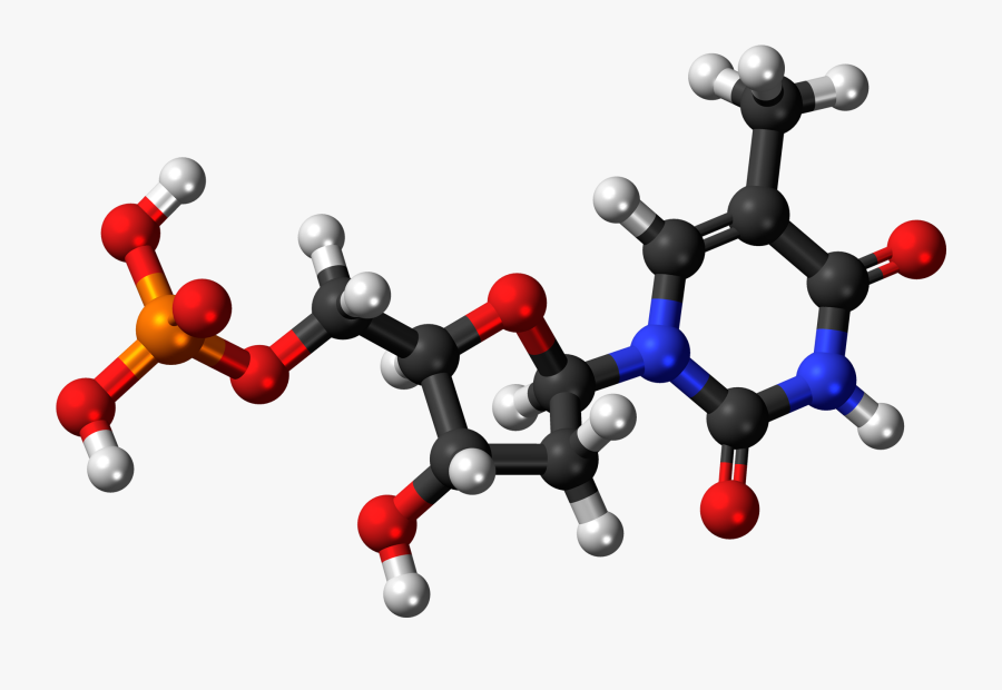 3d Dna Png Picture Freeuse Download - Adenosine Triphosphate 3d Structure, Transparent Clipart