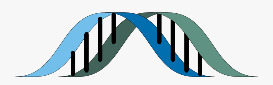 Graphic Design, Transparent Clipart