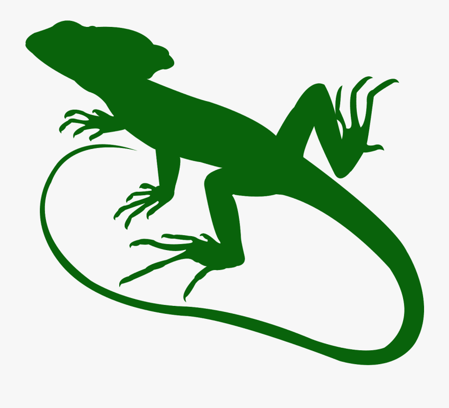 Dragon Lizard, Transparent Clipart