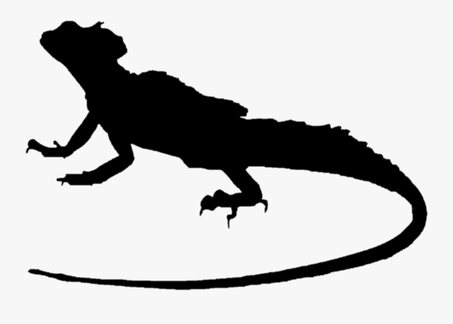 Lizard Plumed Basilisk Common Basilisk Green Iguana - Basilisk Lizard Silhouette, Transparent Clipart