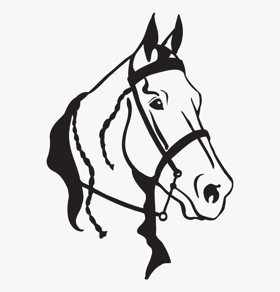 American Quarter Horse Clip Art Arabian Horse Openclipart - Quarter Horse Black And White Clipart, Transparent Clipart