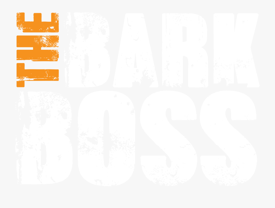 Transparent Tree Bark Png - Pain And Success, Transparent Clipart