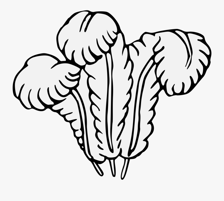 Heraldry Ostrich Feather Svg, Transparent Clipart