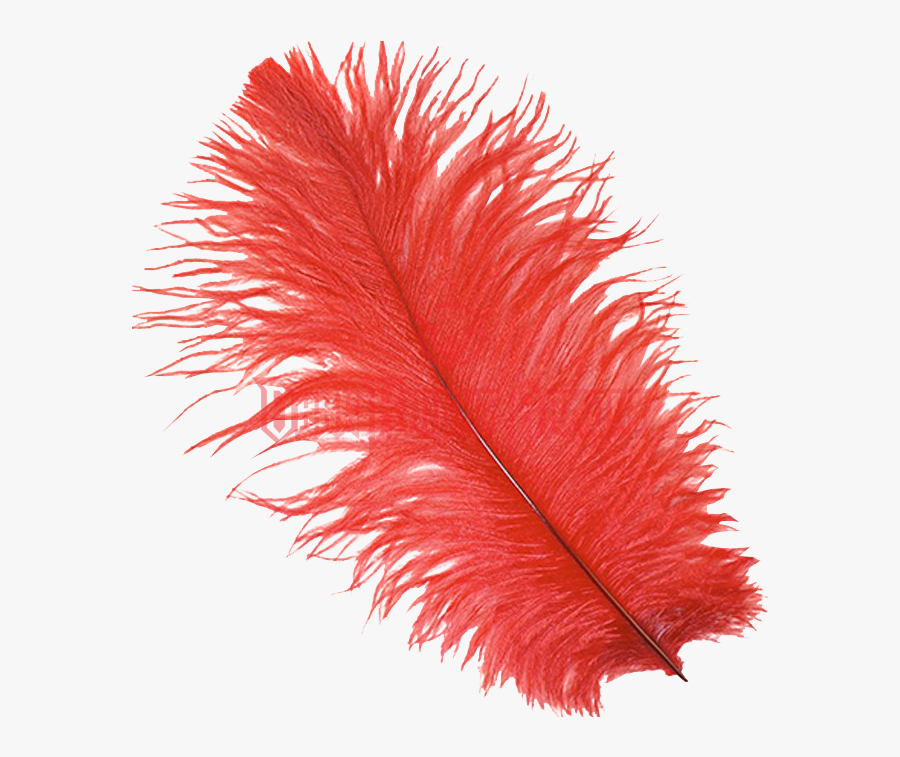 Red Ostrich Feather Plume - Red Ostrich Feather Png, Transparent Clipart