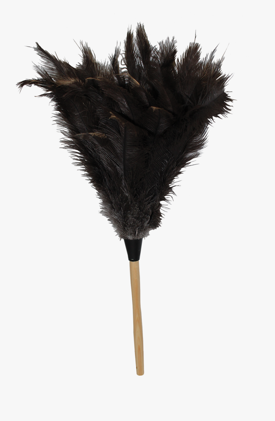 280156, Transparent Clipart