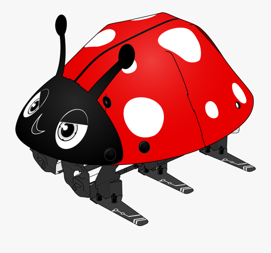 Transparent Free For - Ladybird Beetle, Transparent Clipart
