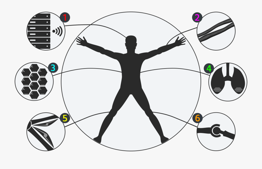 Sharpie"s Body Structure - Vitruvian Silhouette Female, Transparent Clipart
