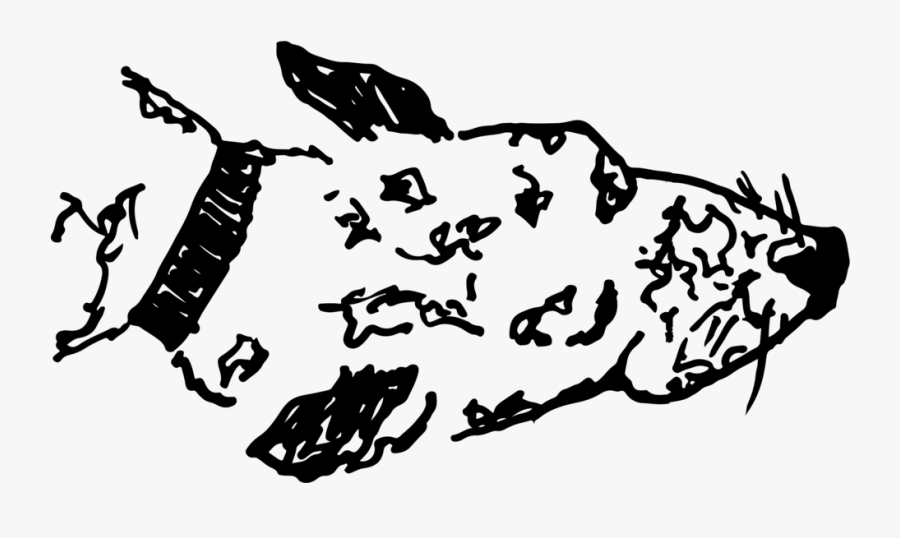 Digital Www - Illustration, Transparent Clipart