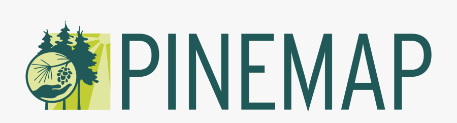 Pine Cone Clip Art, Transparent Clipart