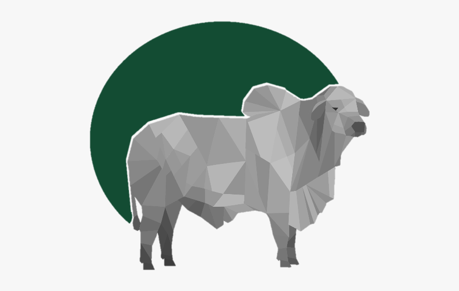 Loblolly Pine Tree Clip Art, Transparent Clipart